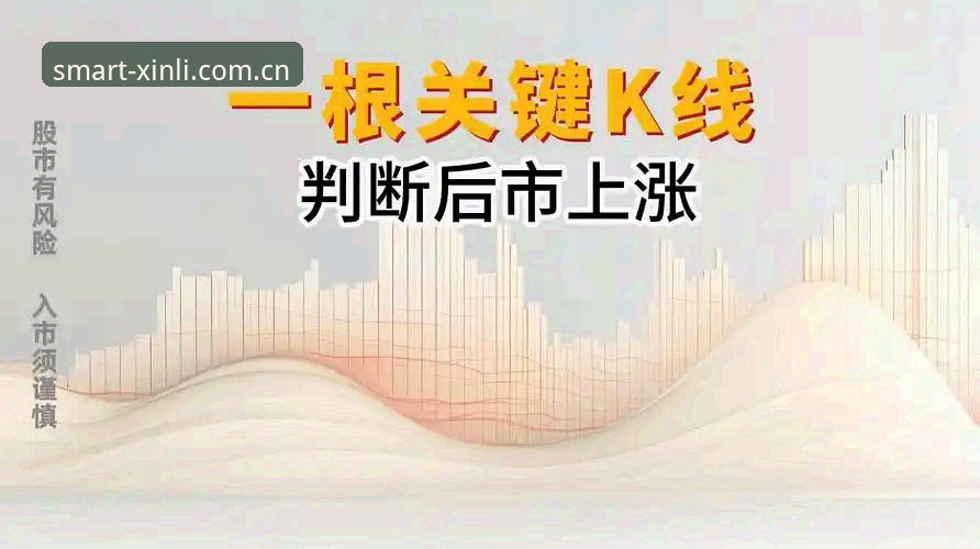 新利平台娱乐中国官方站体育资讯 7个关键判断:新利平台娱乐中国官方站体育资讯凭什么让懂行玩家专注?